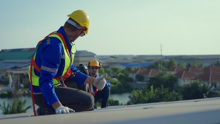 Best Solar Panel Roofing Installation  in Iron River, MI